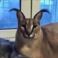 640x640