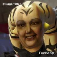 341x341