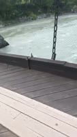 480x848