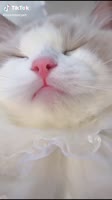 576x1024
