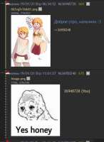 404x550