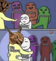 666x730