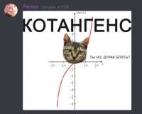 429x345