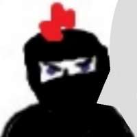 337x337