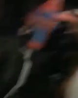 288x360