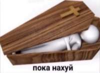 600x441