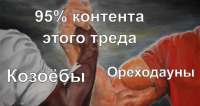 753x402