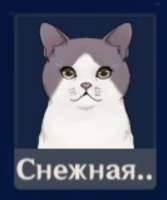 334x398