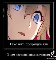 528x560