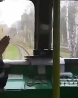 288x360