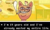 432x255