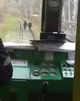 288x360
