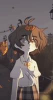 344x646