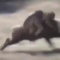 320x320