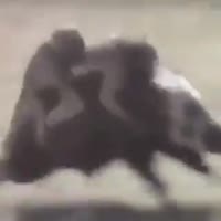 320x320