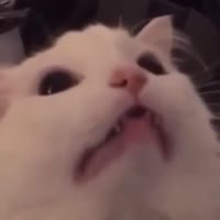 640x640