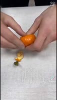 320x552
