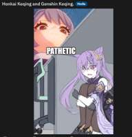 537x558