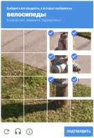 393x575