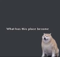 376x360