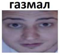 250x231