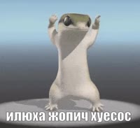 320x294