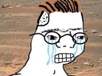 576x433