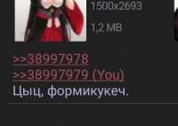 369x262