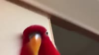 640x360