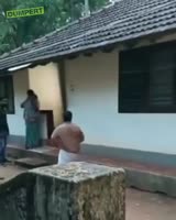 288x360
