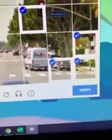 288x360