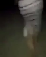 292x360