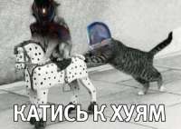 500x355