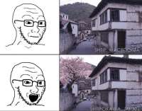 680x535