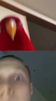 576x1024