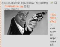 346x269