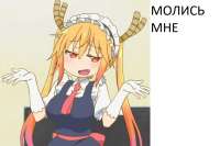 1000x666