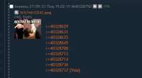 491x271