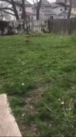 360x640