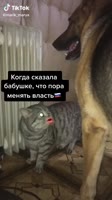 540x960