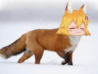 960x728
