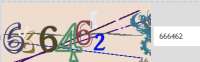 363x113