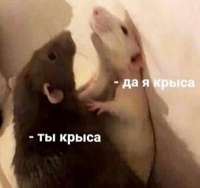400x377