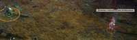 1339x394