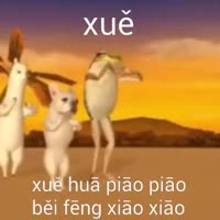 360x360