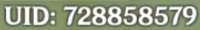 381x58