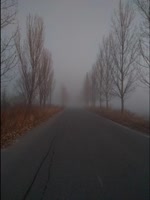814x1080