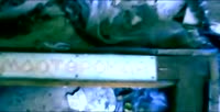 702x360