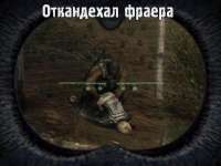 604x453
