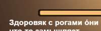 343x109